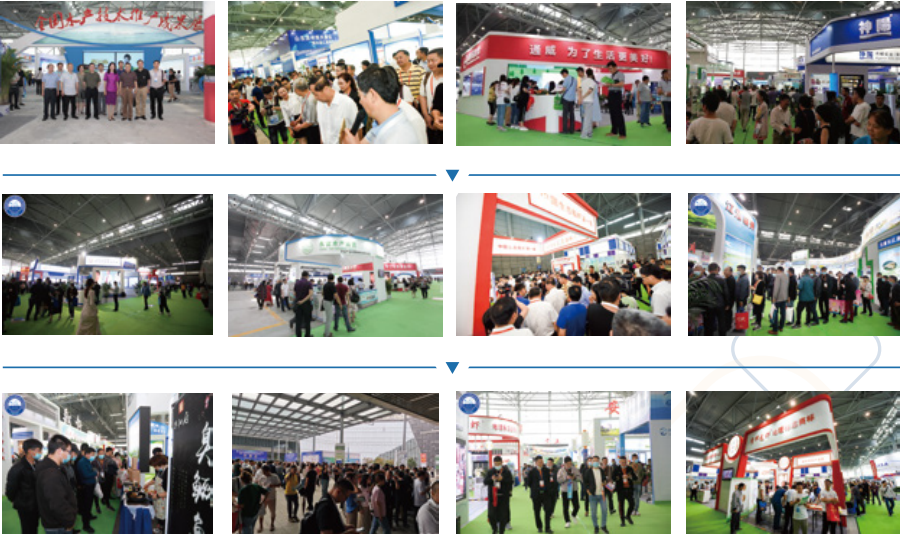 渔业科技.png 渔业科技.png